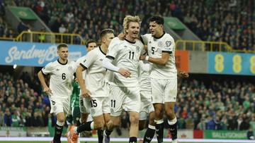 Irlandia Utara Vs Jerman