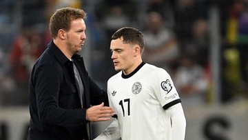 Jerman Vs Irlandia Utara